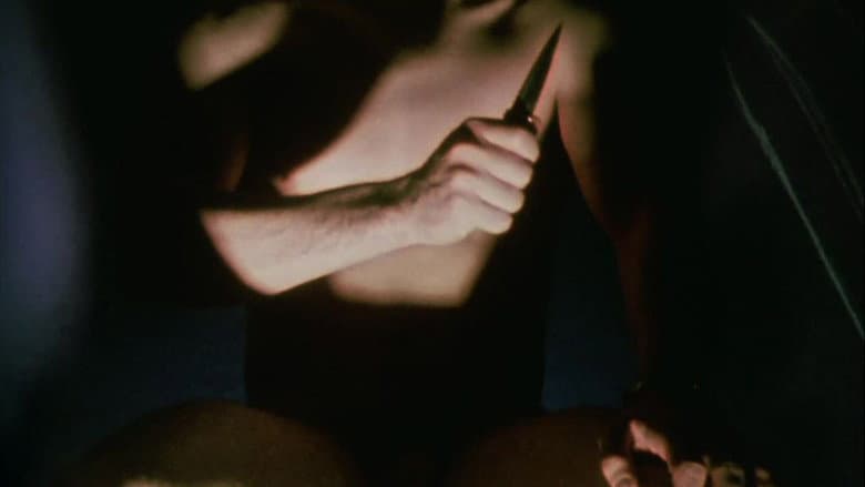 Invocation of My Demon Brother still
