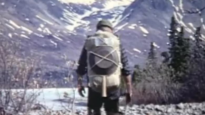 Alone in the Wilderness still