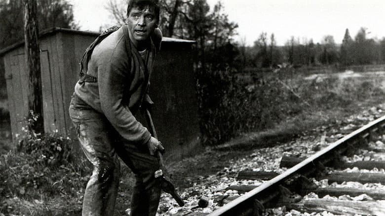 The Train still