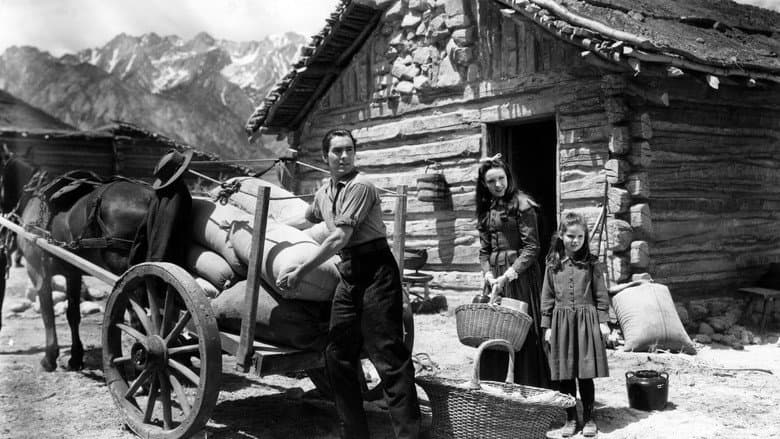 Brigham Young still