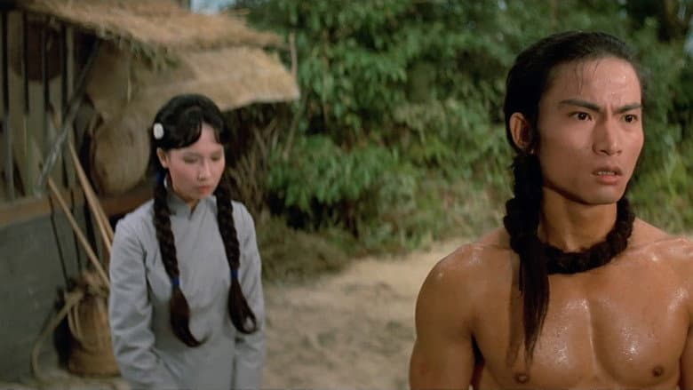 Shaolin Martial Arts still