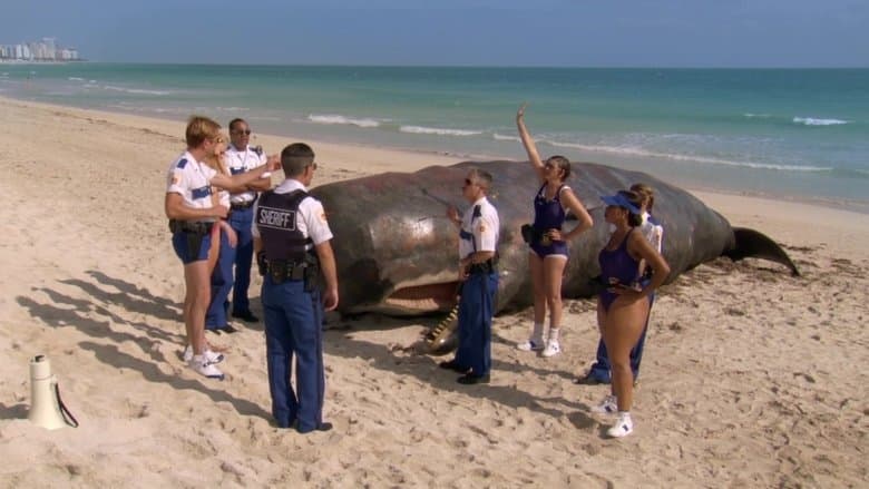 Reno 911!: Miami still