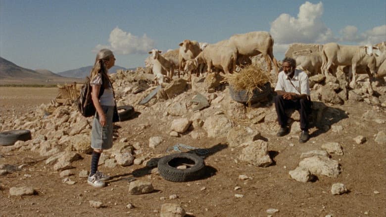 Tale of Shepherds still
