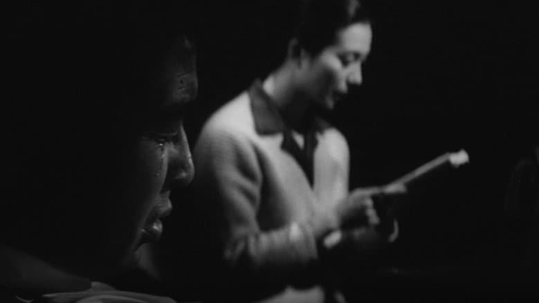 The Elegant Life of Mr. Everyman still