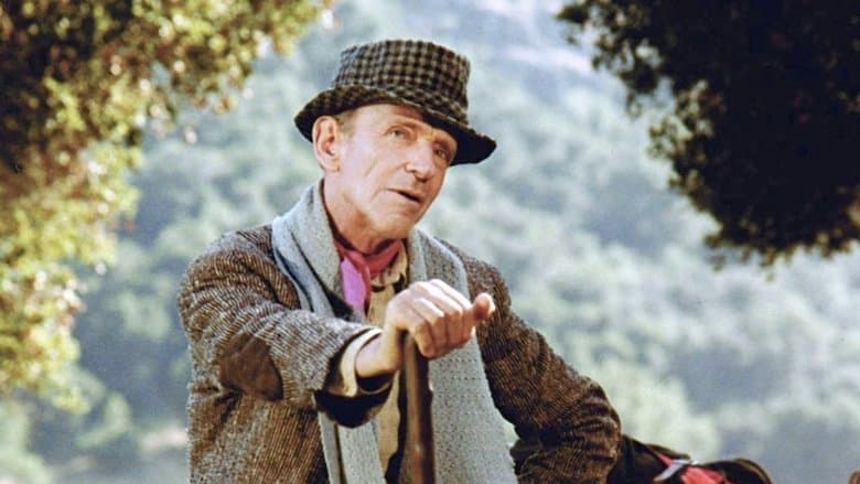 Finian's Rainbow still