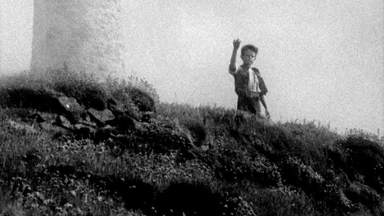 Arcadia still
