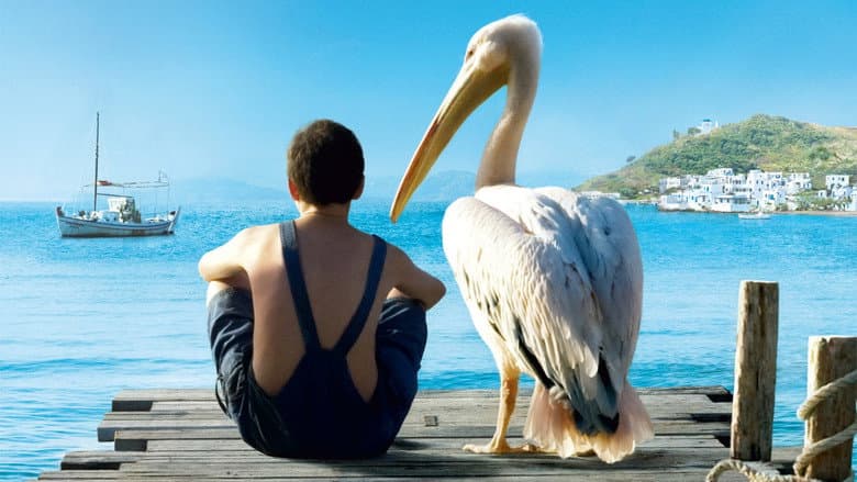 Nicostratos the Pelican still