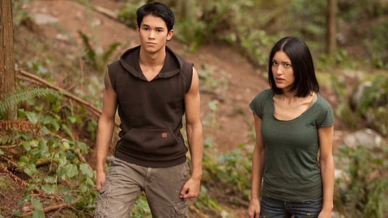The Twilight Saga: Breaking Dawn - Part 1 still