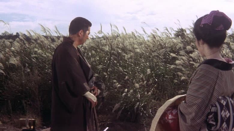 Zatoichi on the Road still