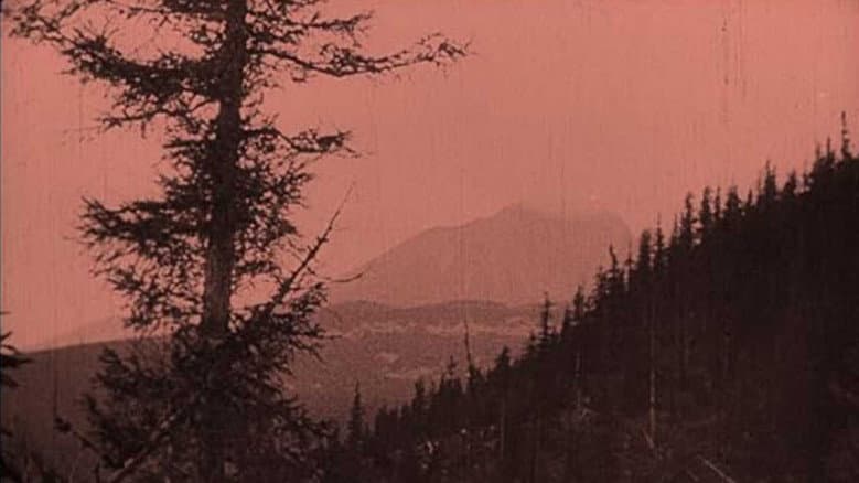 The Mysterious Castles in the Carpathians still