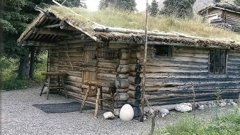 Alone in the Wilderness: Part II still