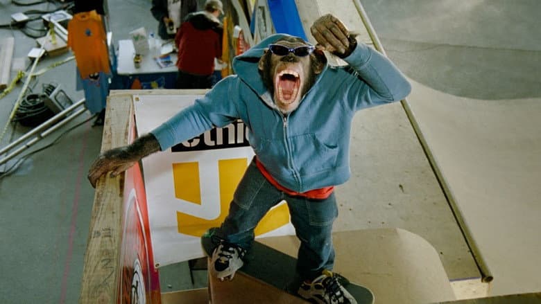 MVP 2: Most Vertical Primate still