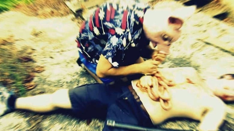 Attack of the Pig-Zombies! still