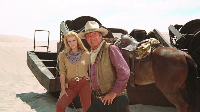 The Train Robbers still