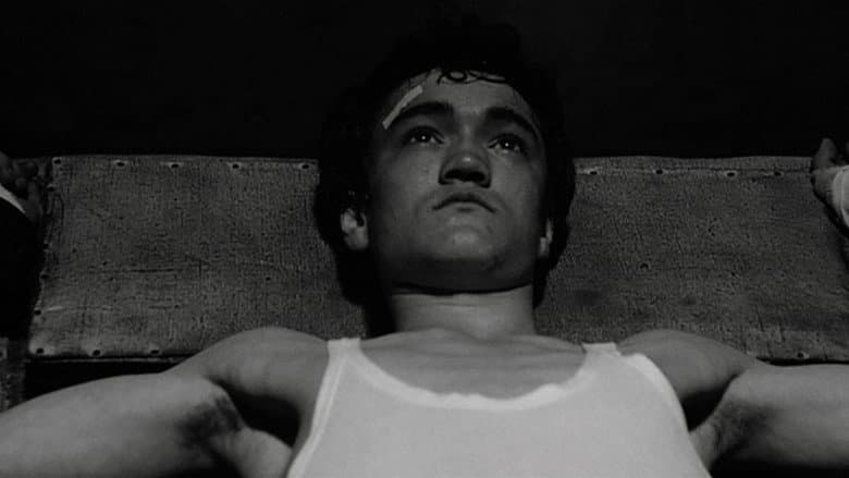 Mamma Roma still