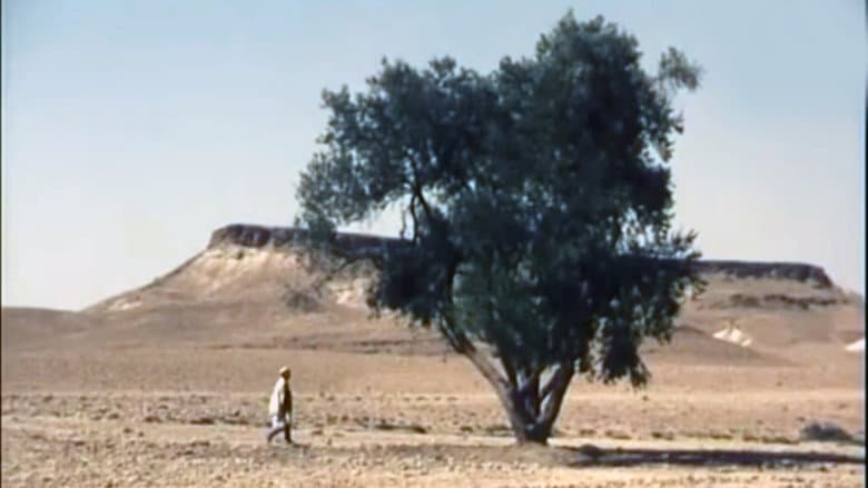 The Olive Tree of Boul'hivet still