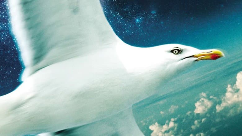 Jonathan Livingston Seagull still