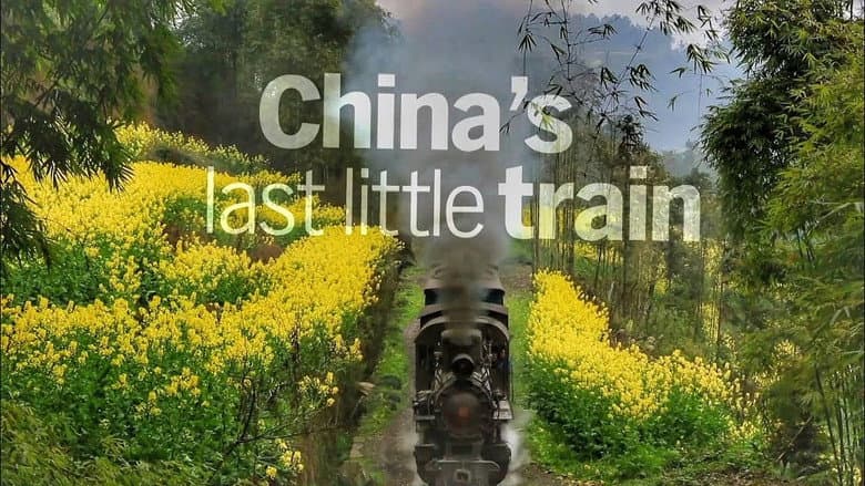 China's Last Little Train still
