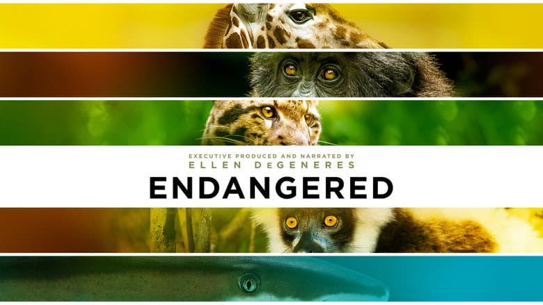 Endangered still