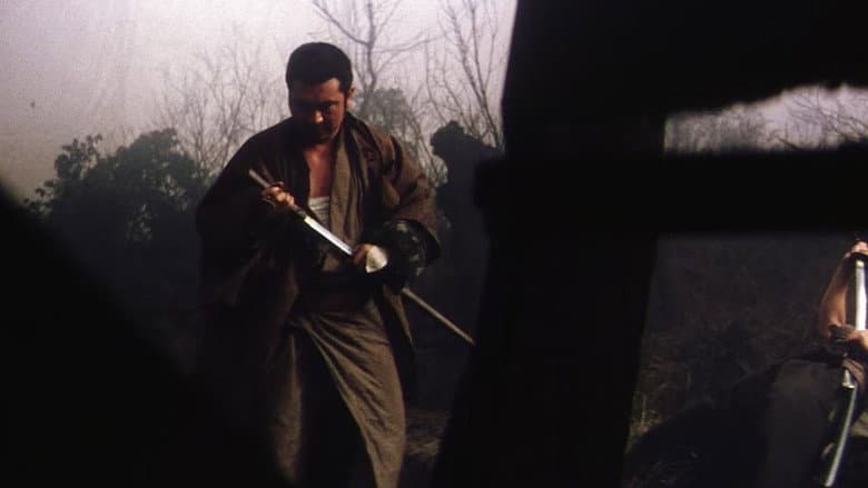 Zatoichi's Revenge still