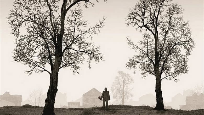Tyrannosaur still
