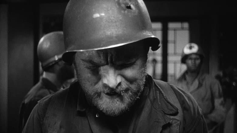 The Steel Helmet still