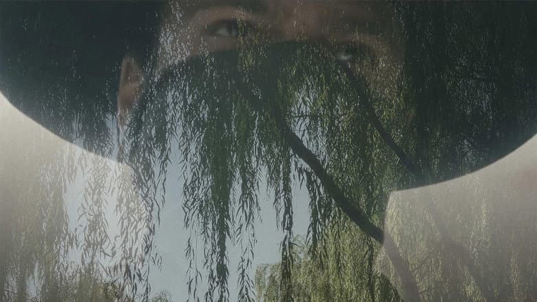 Among the Willows still