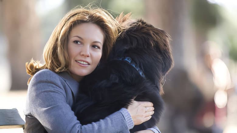 Must Love Dogs still