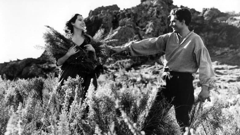 Wuthering Heights still