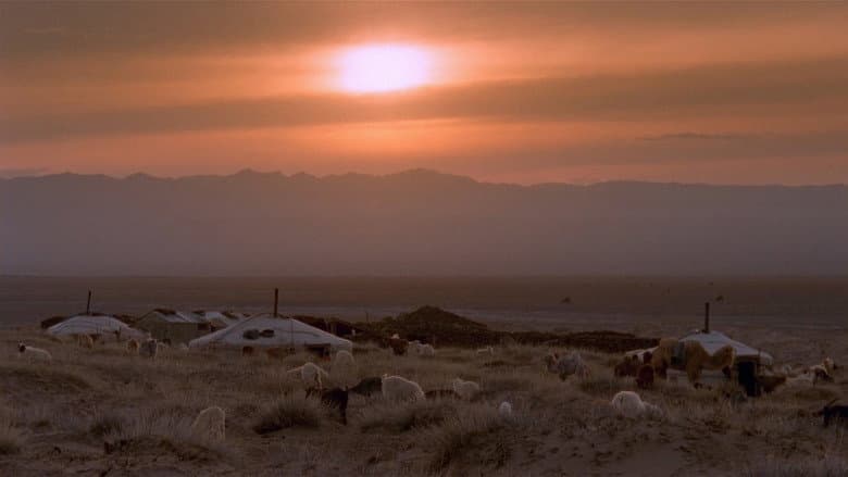 The Story of the Weeping Camel still