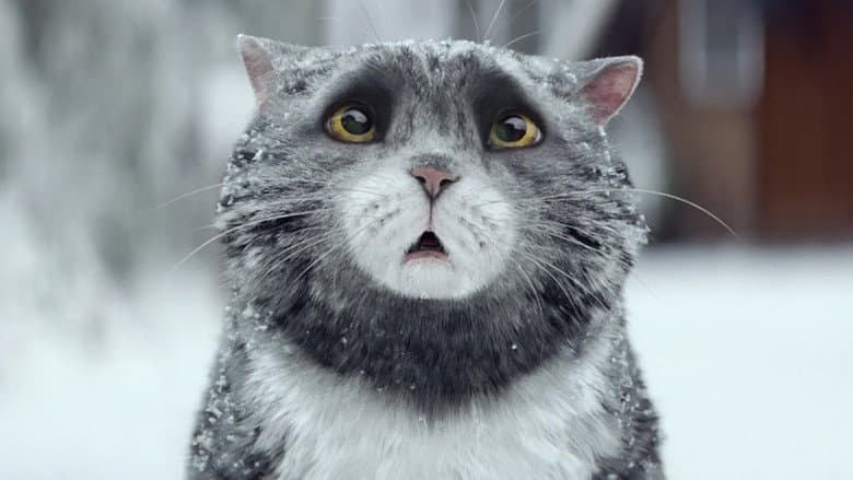 Sainsbury's: Mog's Christmas Calamity still