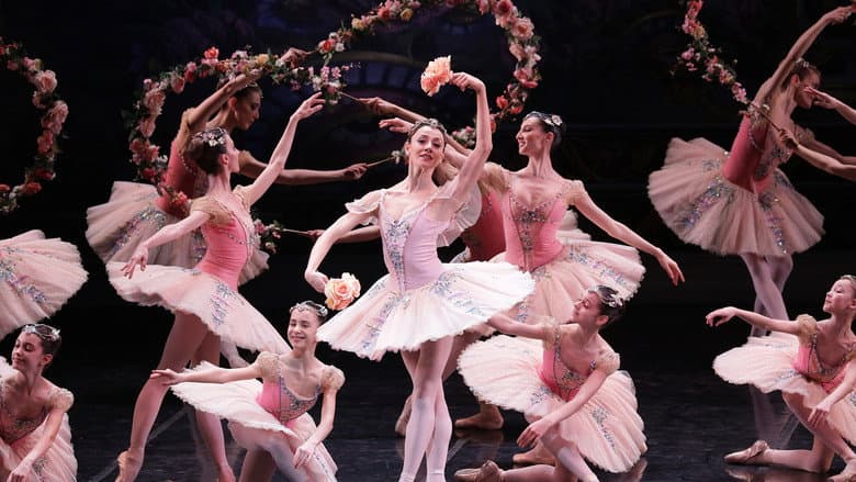 Le Corsaire still