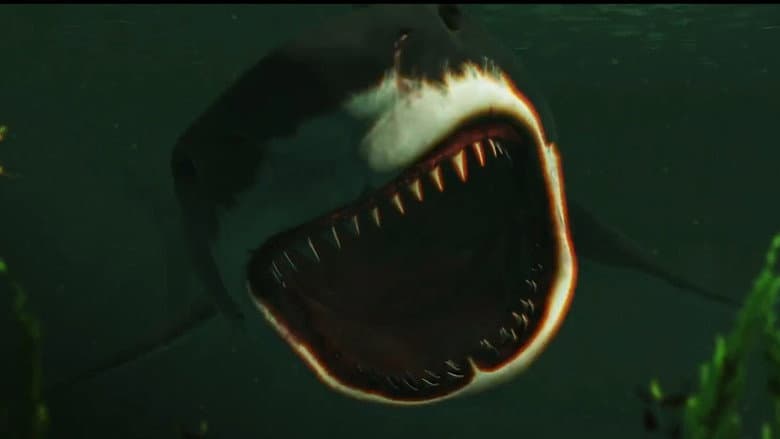Bull Shark still