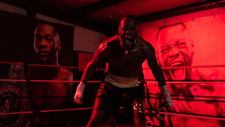 Deontay Wilder vs. Tyrrell Herndon still
