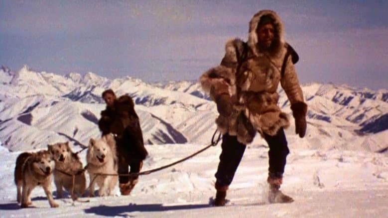 The Wild North still