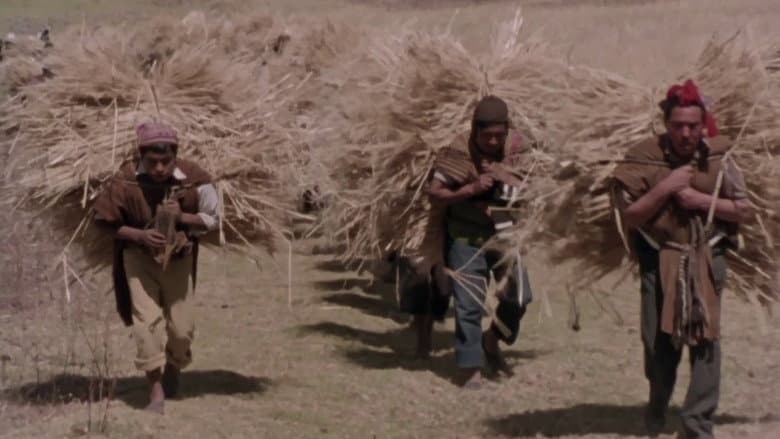 Child of the Andes still