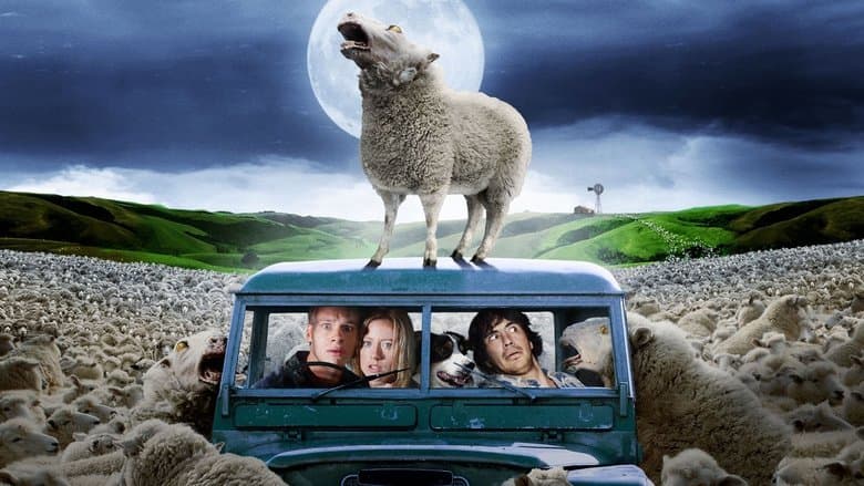 Black Sheep still