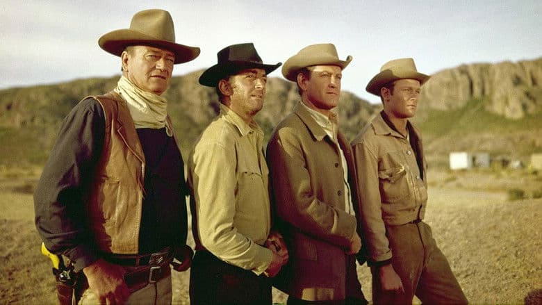 The Sons of Katie Elder still