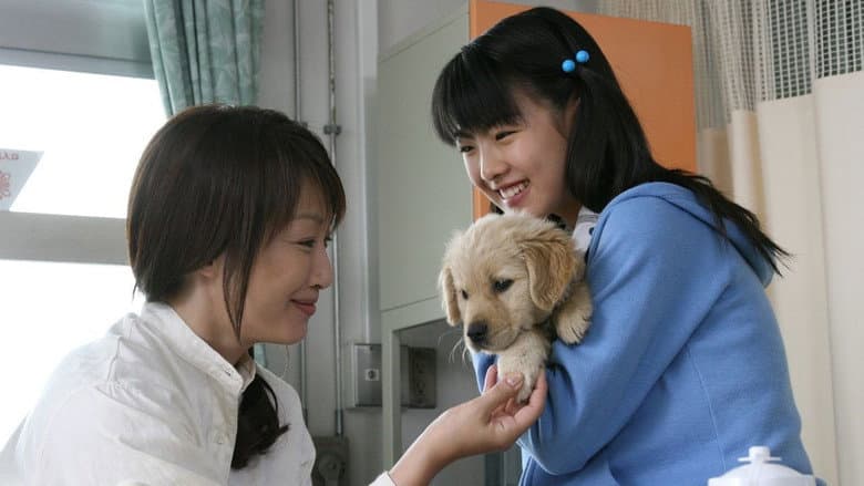 10 Promises to My Dog still