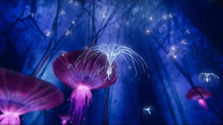 Avatar: Creating the World of Pandora still