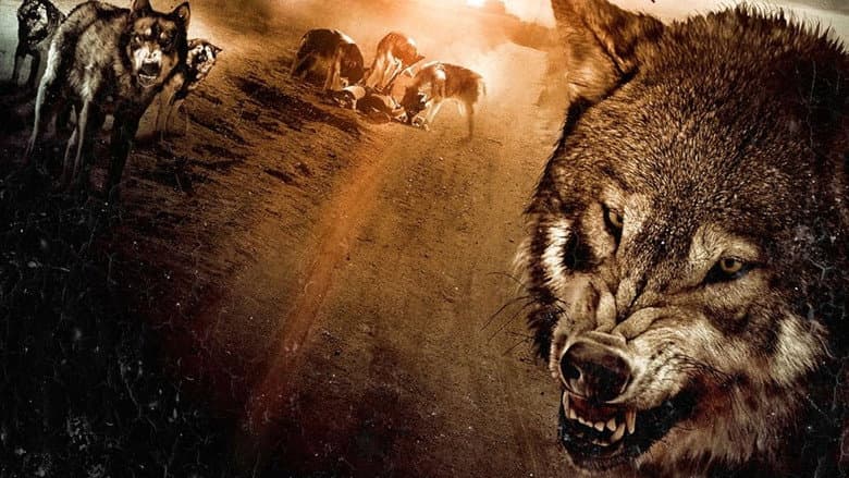 Wolf Town still