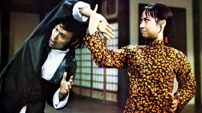 Hapkido still