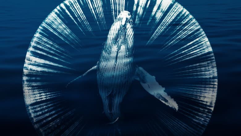 Fathom still