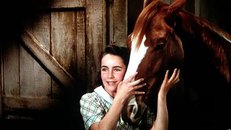 National Velvet still