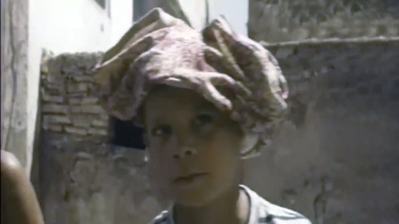 Les Moineaux d'Algérie still