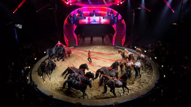 Les Folies Gruss, 50 ans à Paris still