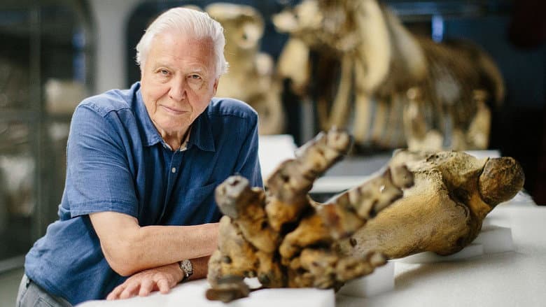 Attenborough and the Giant Elephant still