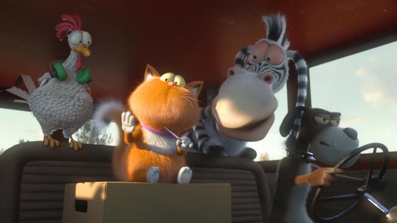 Spy Cat still