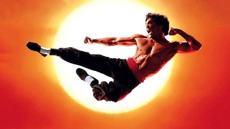 Dragon: The Bruce Lee Story still