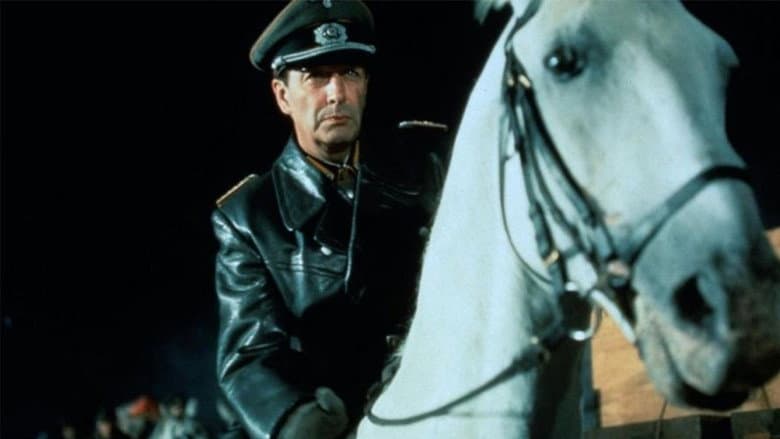 Miracle of the White Stallions still